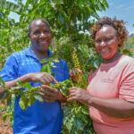 coffee farmers in kenya