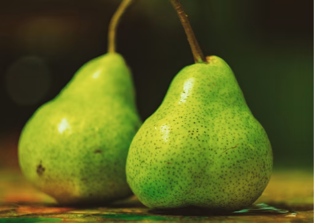 pears farming in kenya seedlings