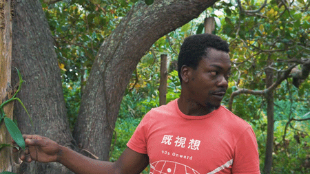 vanilla farmer in kwale kenya