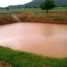 farm water harvesting in kenya