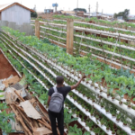 Kenyan farmer who turned a dumpsite into a garden of giveaways