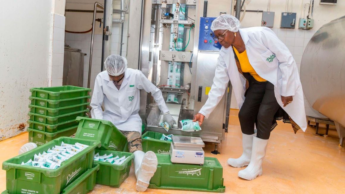From Selling Milk As A Side Hustle To A Top Milk Processor In Kenya