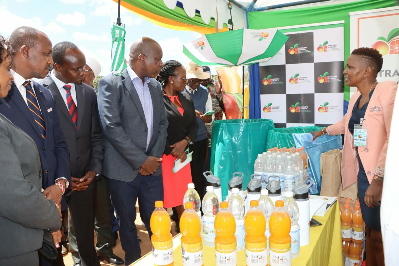 Murang'a earns recognition for its mango subsidy program.