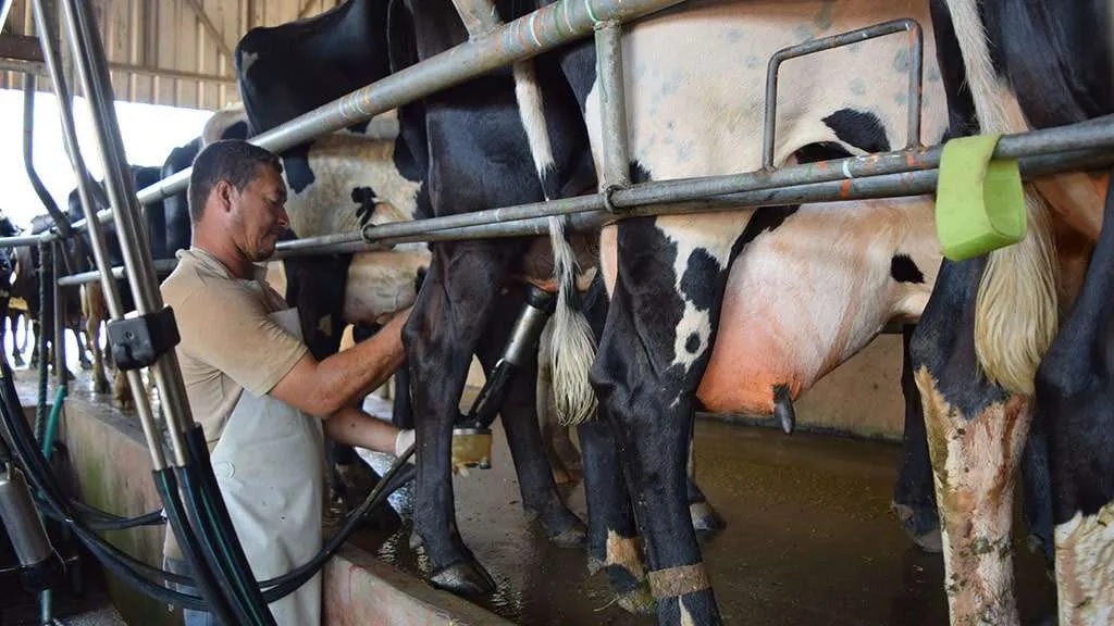 The Impact Of Technological Advancement On Dairy Farming In Kenya 1 The Impact Of Technological Advancement On Dairy Farming In Kenya