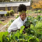 farm profitability in kenya