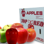 profitability of apple farming in kenya