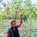A Complete Guide On Tree Tomato Farming In Kenya