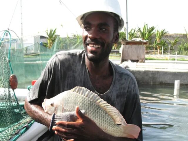Fish Farming In Kenya; How To Make Serious Money