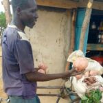 Sweet Potato Farming In Dry Lands Of Turkana, Success Story Of Patrick Juma