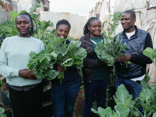urban farming in kenya
