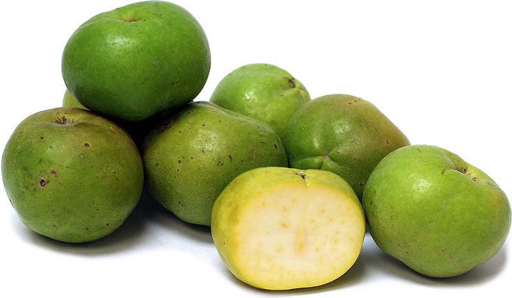 White Sapote Fruit Farming in Kenya