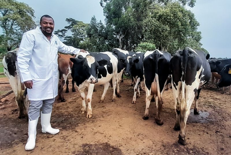 Dairy Farming In Kenya; A Comprehensive Cost Of Production Guide