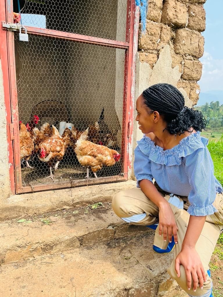 Economics of Small-Scale Poultry Farming in Kenya 2023