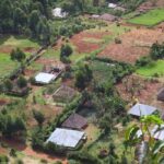 Effects of Land Subdivision on African Agribusiness