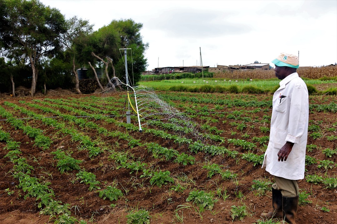 Farming In Kenya