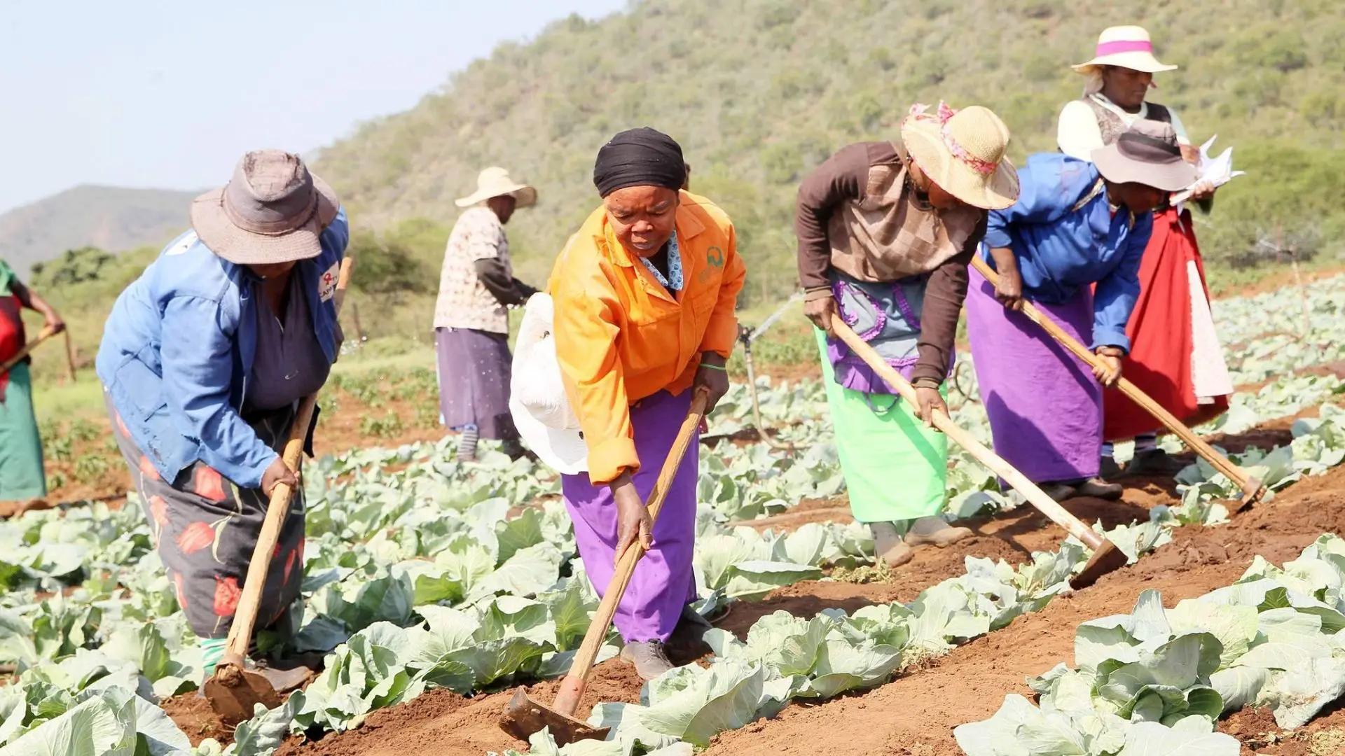 Farming in Kenya 2023