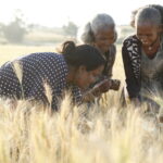 50 African female policy practitioners joins fellowship to work on gender-responsive agri-food policies
