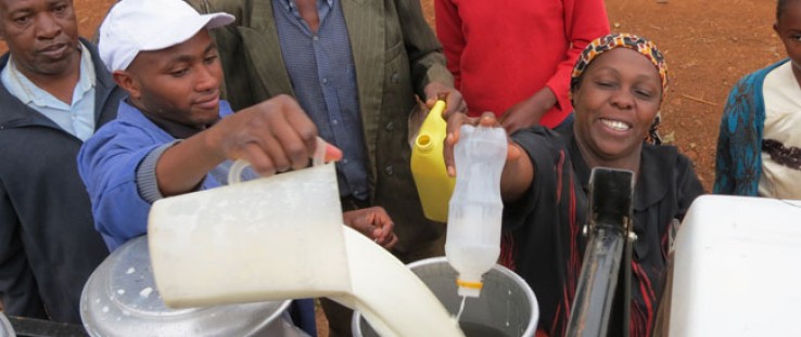 The Role of Dairy Cooperatives in Kenya's Dairy Industry