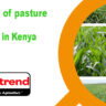 Agronomy Of Pasture And Fodder Crops In Kenya