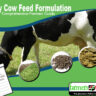 Dairy Cow Feed Formulation; A Comprehensive Farmers Guide