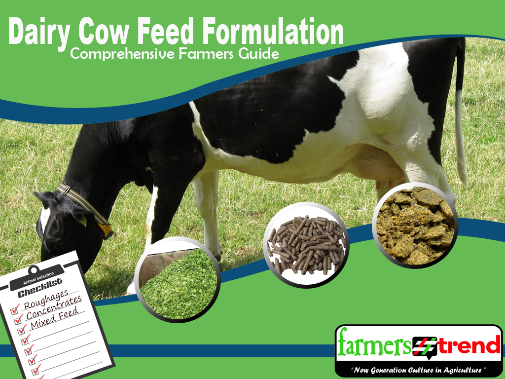 Dairy Cow Feed Formulation; A Comprehensive Farmers Guide