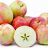 anna apple variety in kenya