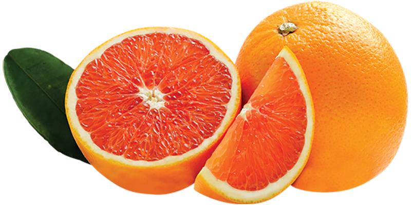 Cara Cara Orange Farming in Kenya: A Comprehensive Cultivation Guide