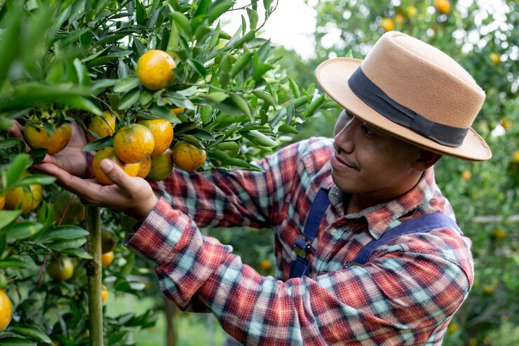 Top 5 Most Profitable and Long-Term Fruit Crops for Nyanza Region Farmers