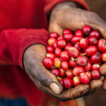Farmers From Mt Kenya Call For Action Over Pile Up Of Coffee In Factories