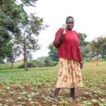High-iron bean farmer Sarah Ikarot stands in a field where tobacco once grew.