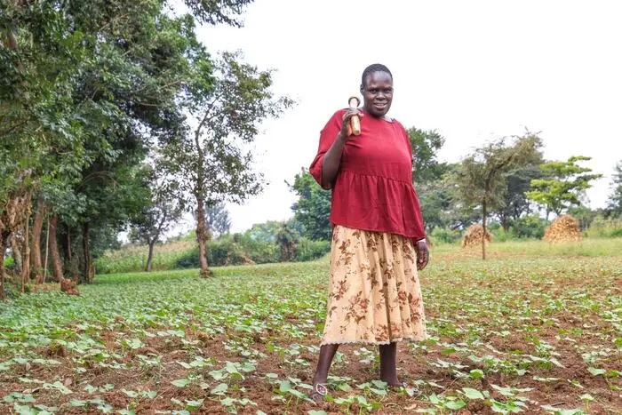 High-iron bean farmer Sarah Ikarot stands in a field where tobacco once grew.