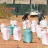 Maize farming in Kenya and the unexploited profitability option