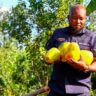 Kirinyaga Senetor