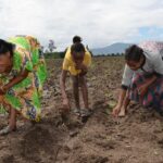 Can Rain-Fed Agriculture Ensure Food Security in Africa? # Trending