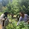 How Permaculture Principles are Nurturing Growth in Vihiga County's Farming Communities