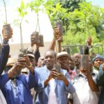200,000 Hass Avocado Seedlings Distributed to Kisii County Farmers