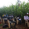Extension Service Providers in Kenya