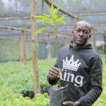 Navigating the Export Avocado Value Chain: A Blueprint for Sustainable Growth