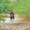 Farmers wade through a flooded farm in Garissa