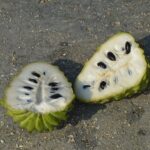 The Current State of Custard Apple Farming in Kenya # Trending