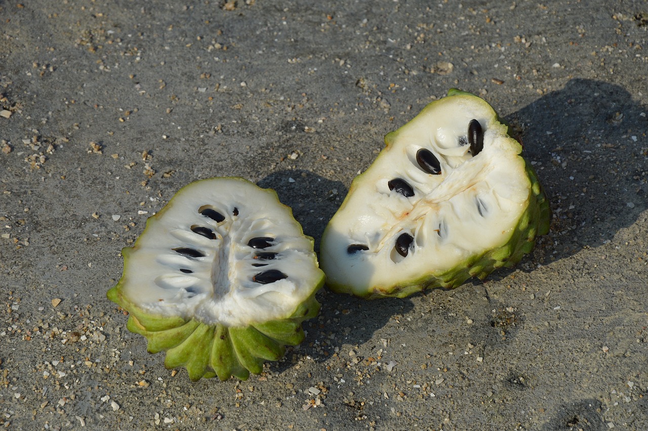 The Current State of Custard Apple Farming in Kenya