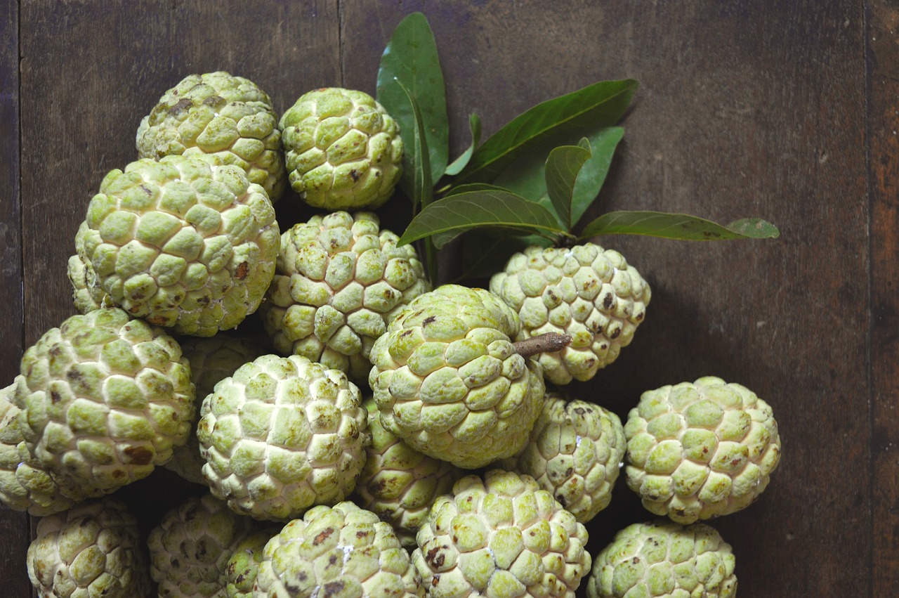 The Current State of Custard Apple Farming in Kenya 2024