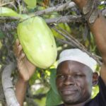 From Maize Farming to Successful Fruit Farming in Siaya - The Journey of Michael Ochieng