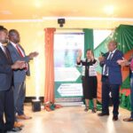 Boosting Potato Productivity in Kenya