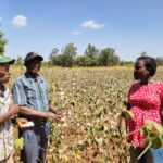 Cotton Farmers in Machakos
