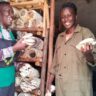 From Selling Youghurt to Finding Success in Mushroom Farming: Success Story of Verah Mburugu in Kiserian