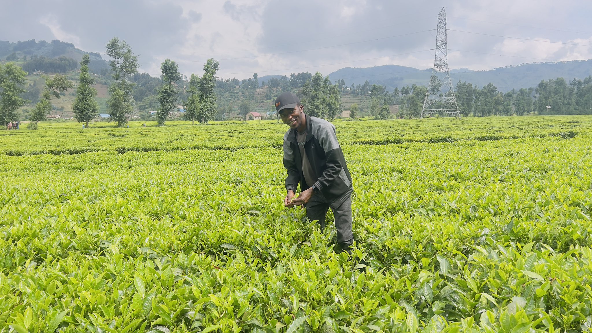 Breaking Down the KTDA Before it Collapses: Is It Time for Drastic Reforms? 1 Breaking Down the KTDA Before it Collapses: Is It Time for Drastic Reforms?