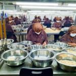 Reviving Cashew Nut Farming in Coastal Kenya