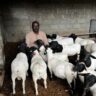 Farmers Trend Ltd.