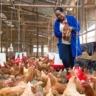 De Heus Animal Nutrition Kenya